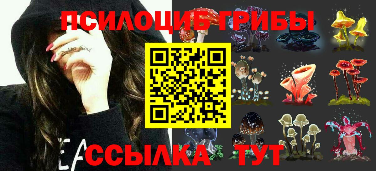 Псилоцибиновые грибы Cubensis  Вход с VPN  Верхний Уфалей  Псилоцибиновые грибы мухоморы 